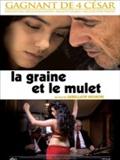 La Graine et le mulet